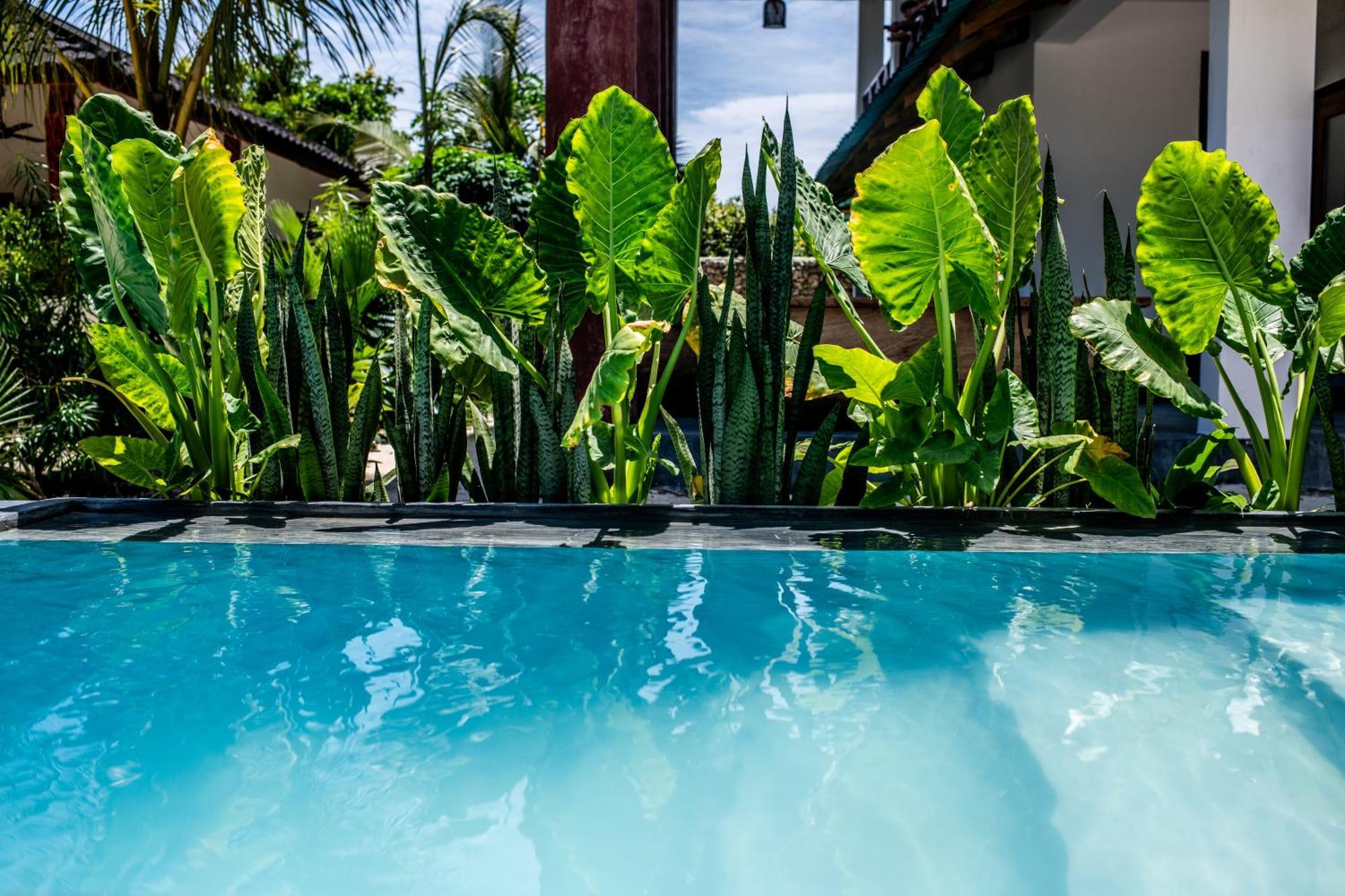 Baobab Bungalows Jambiani  Eksteriør billede