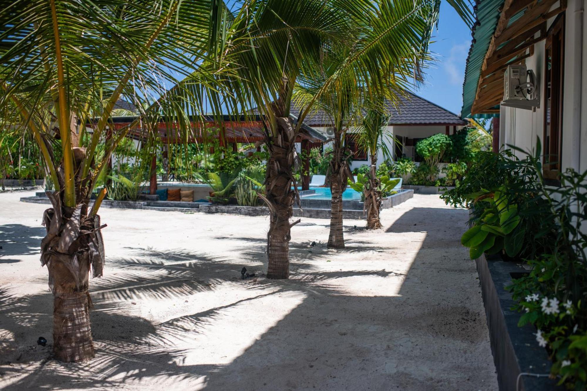 Baobab Bungalows Jambiani  Eksteriør billede