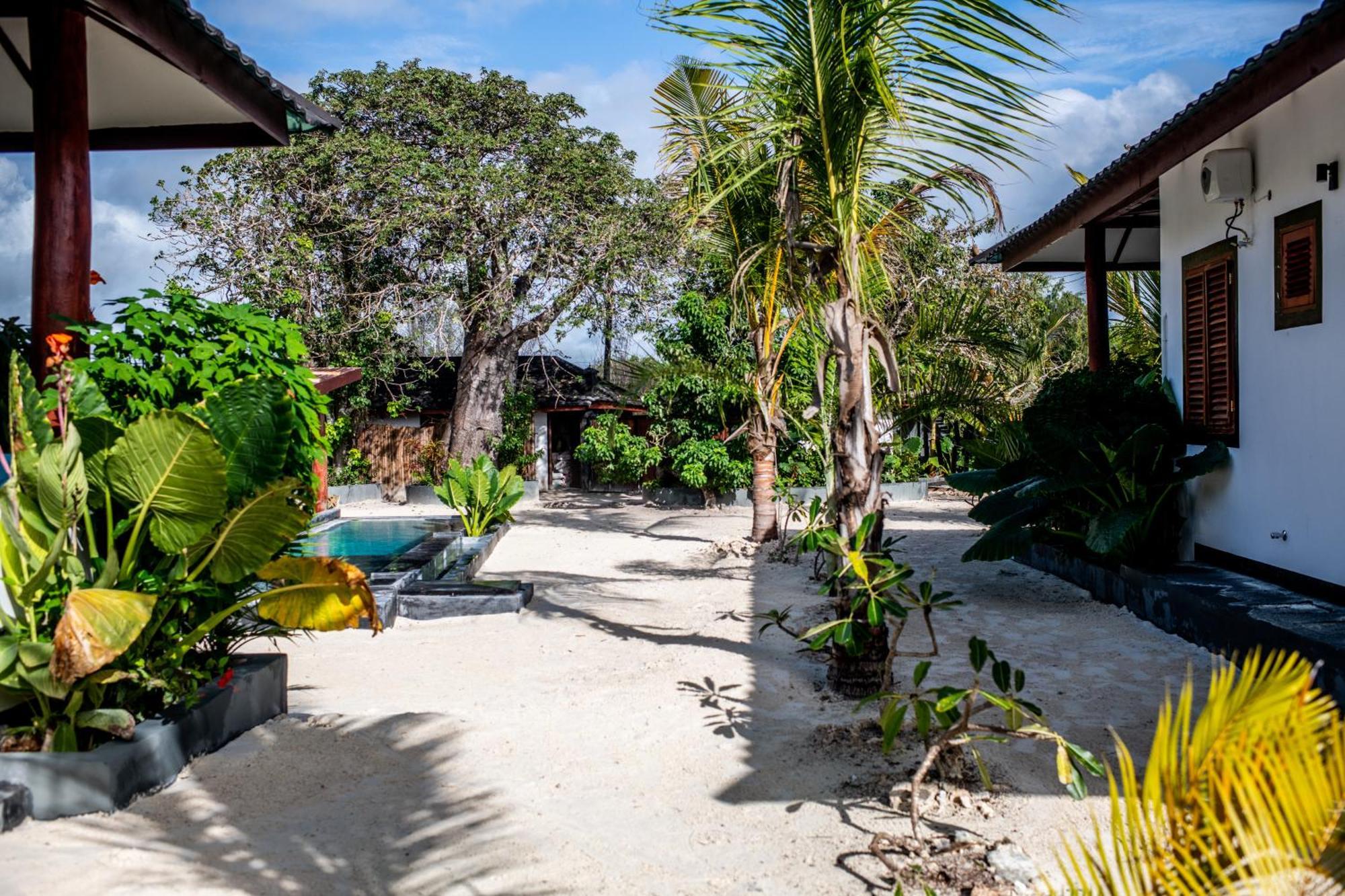 Baobab Bungalows Jambiani  Eksteriør billede