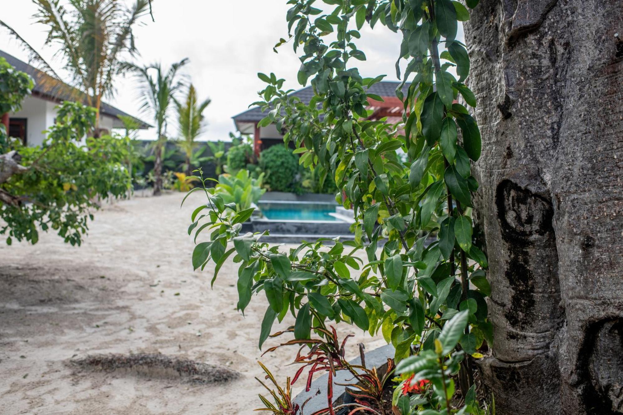 Baobab Bungalows Jambiani  Eksteriør billede