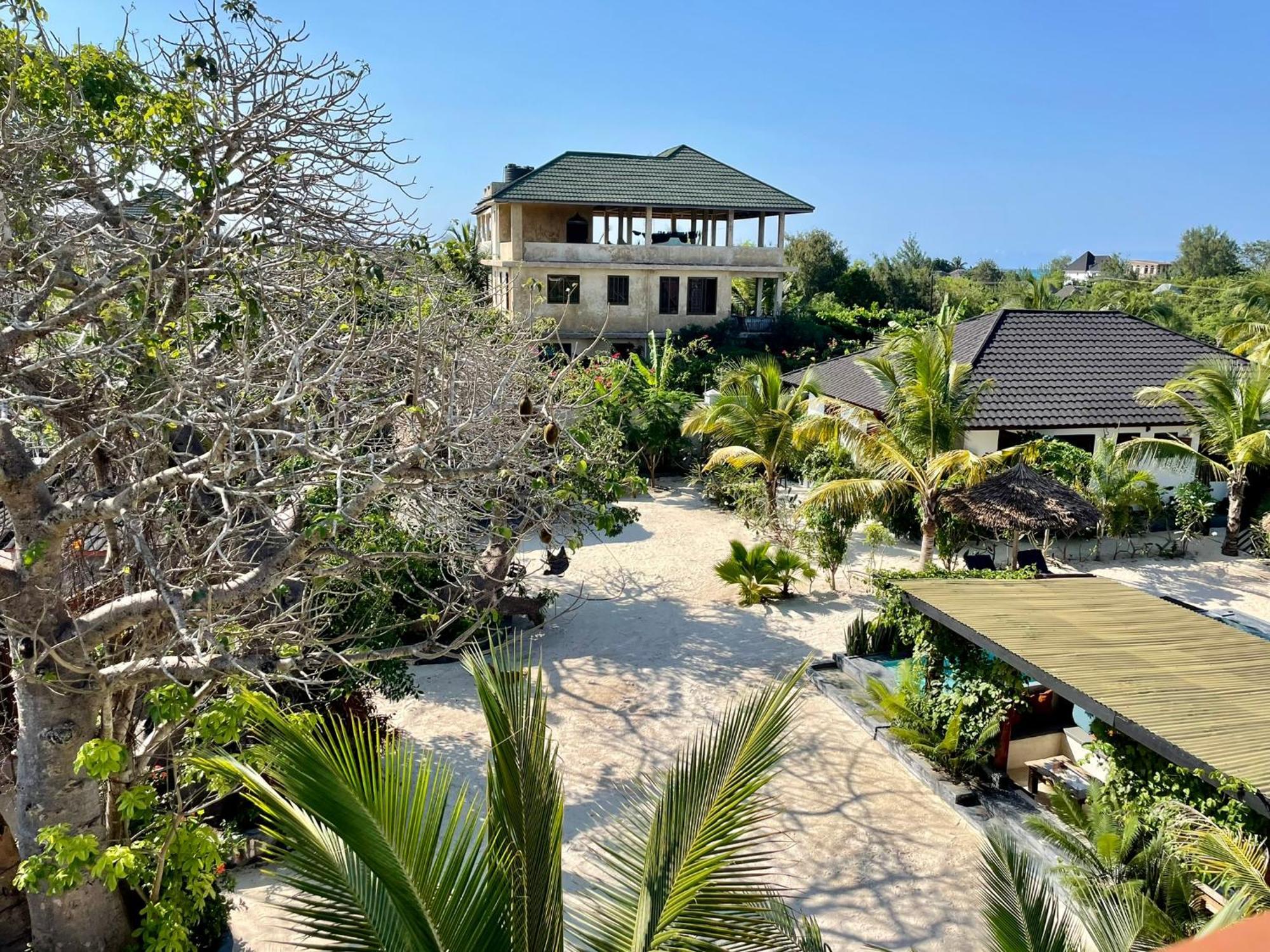 Baobab Bungalows Jambiani  Eksteriør billede
